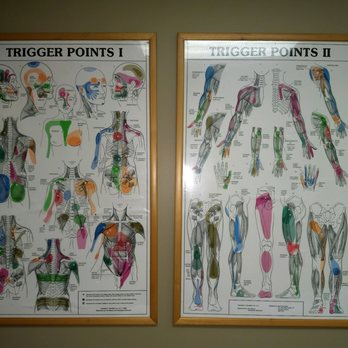 Desiree Diaz, LMT - Trigger Point - Massage Therapy Near Me - Tampa, Florida Desiree Diaz, LMT - Trigger Point - Massage Therapy Near Me - Tampa, Florida