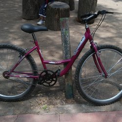 Renta de Bicicletas