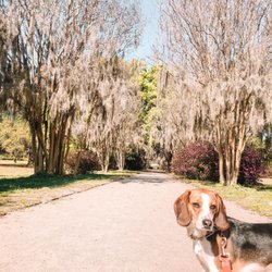 Hampton Park - Hampton park
