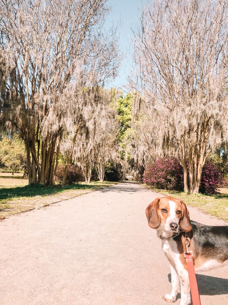 Social spots from Hampton Park