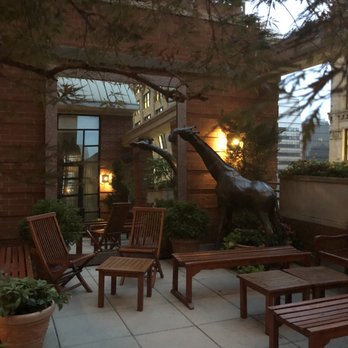 Hotel Giraffe - A giraffe - Hotels Near Me - New York, New York Hotel Giraffe - A giraffe - Hotels Near Me - New York, New York