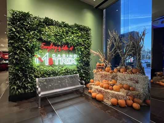 Casino M8trix by null