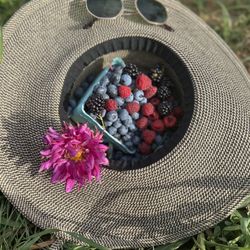Pattys Berries and Bunches - Blueberry season in August 2022