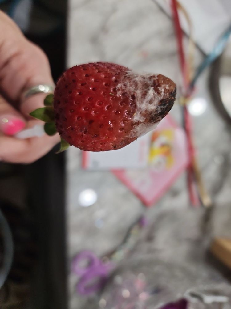 Edible Arrangements Logo