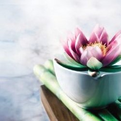 Bodyworx Massage & Wellness