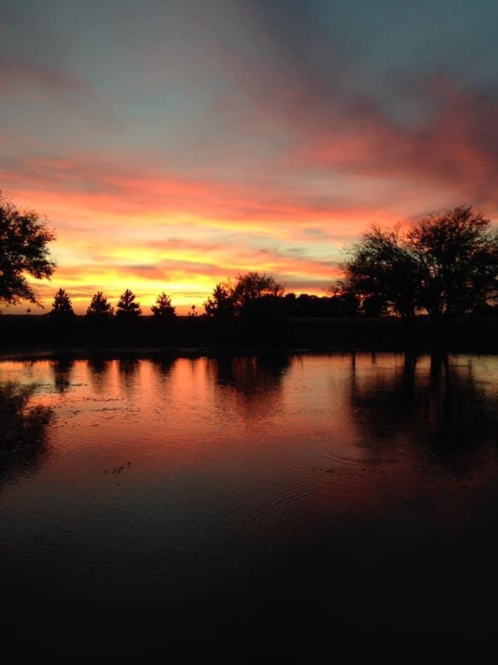 IB Stables - equestrian in Noblesville, IN