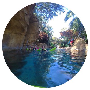Discovery Cove - Amusement Parks Near Me - Orlando, Florida