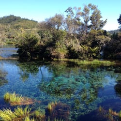 Te Waikoropupū Springs