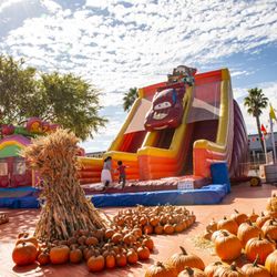 ABC Tree Farms & Pick of the Patch Pumpkins