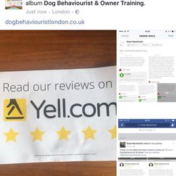Dog Behaviourist & Owner Training - All My Reviews Are On Yell .com