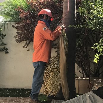 Environmental Green Tree Care - Tree Services Near Me