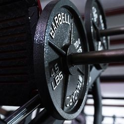 The Gym 41