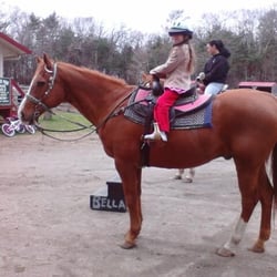 C and L Stables - Children Welcome !