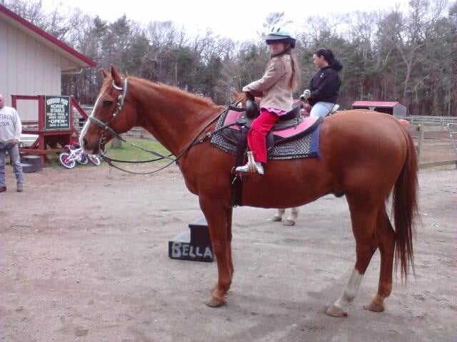 C and L Stables - equestrian in East Greenwich, RI