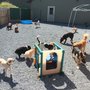 Photo of Pawnal Pets