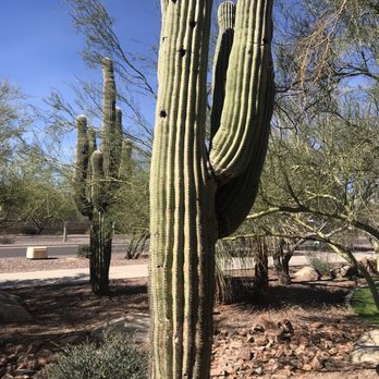Daisy Mountain Railroad - Long scenic ride - Kids Activities Near Me - New River, Arizona