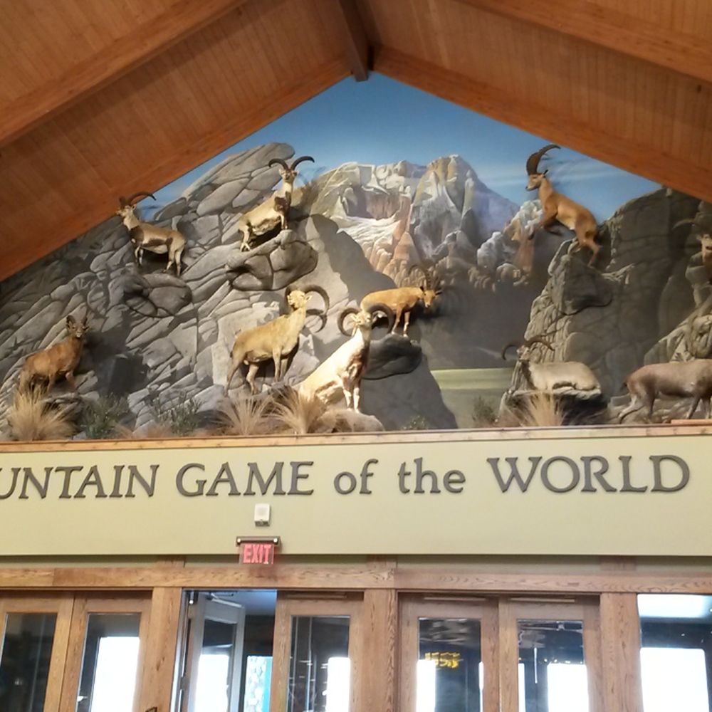 Cabela's - Awesome mount display - Guns & Ammo Near Me - Verdi, Nevada