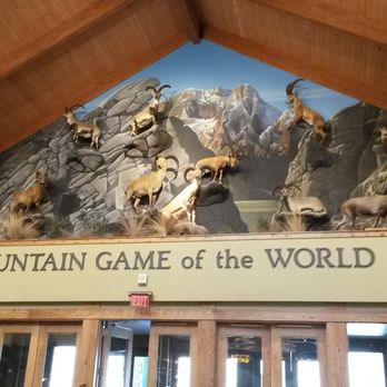 Cabela's - Awesome mount display - Guns & Ammo Near Me - Verdi, Nevada Cabela's - Awesome mount display - Guns & Ammo Near Me - Verdi, Nevada