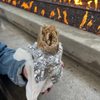 Abu Omar Gyros & Shawarma gift card