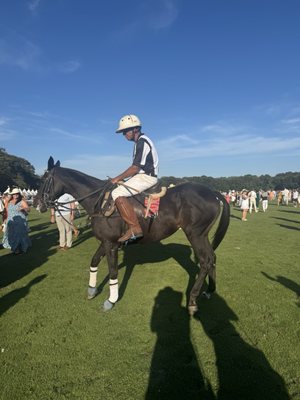 Newport Polo by null