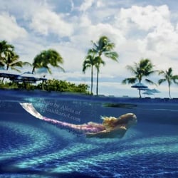 Mermaid Kariel - Hotel Entertainment. For a list of hotels to stay at to see a private show visit www.mermaidkariel.com
