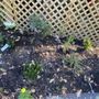 Photo of Long Cloud Carpentry and Landscaping