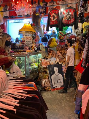 SEARCH & DESTROY by null