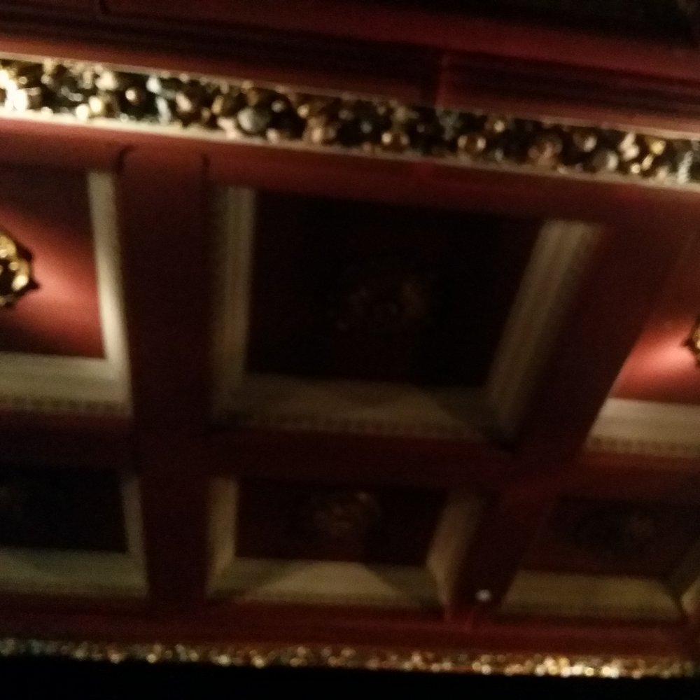 The Gate Picturehouse - Nice ceiling - Cinema Near Me - London, XGL The Gate Picturehouse - Nice ceiling - Cinema Near Me - London, XGL