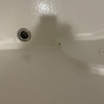 Comfort Suites - Hole in jacuzzi - Hotels Near Me - Vestal, New York