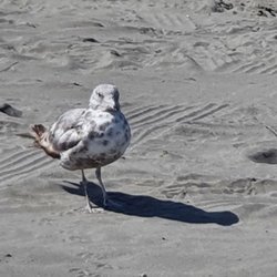 Chance a La Mer State Park