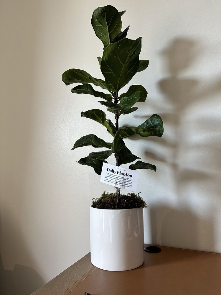 Kimpton Sawyer Hotel