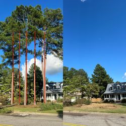 Elite Tree Service