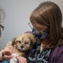 Photo of Shadow Ridge Veterinary Hospital & Urgent Care