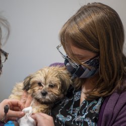 Shadow Ridge Veterinary Hospital & Urgent Care - The highest level of affordable veterinary wellness services in Burke County and the surrounding area.
