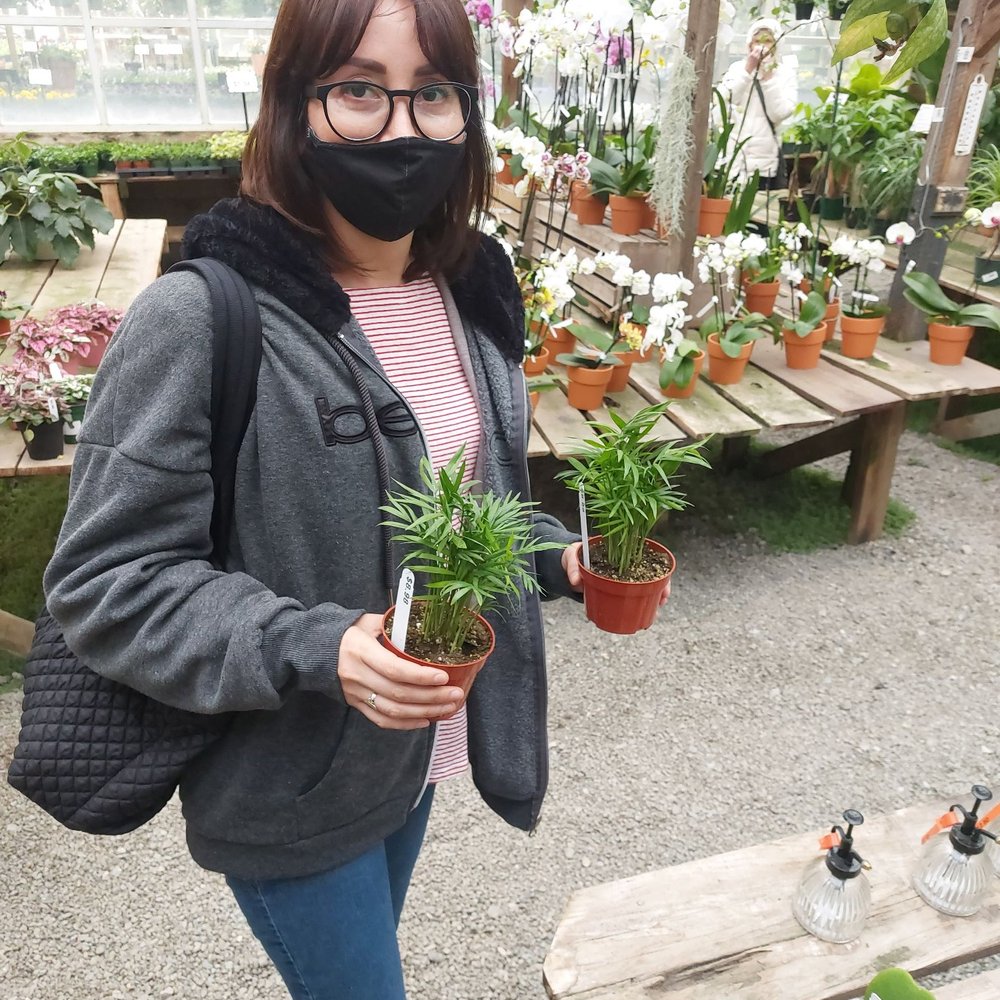 Half Moon Bay Nursery - Nurseries & Gardening Near Me - Half Moon Bay, California