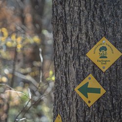 darlington trail
