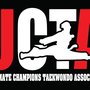 Champions Tae Kwon Do