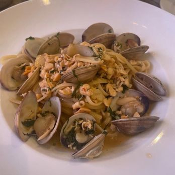 Cucina Jupiter - Middle-neck Clams with Linguini! - Pizza Near Me - Jupiter, Florida