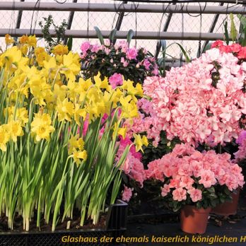 Burggarten - Gewächshäuser der ehemaligen kaiserlich königlichen Hofgärtner*innen - Amusement Parks Near Me
