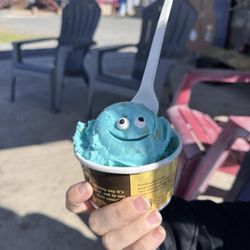 Hadley Scoop at the Silos - Cookie Monster ice cream
