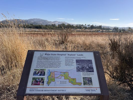 Napa Valley Vine Trail by null