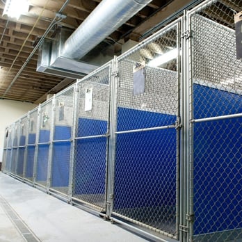 Canine Crews - Kennel Shot - we have 53! - Pet Training Near Me - Chicago, Illinois