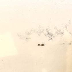 The Reserve by Cardinal Group Properties - How I received my walls when I moved in.