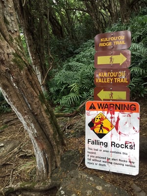 Kuli'ou'ou Valley Trail by null
