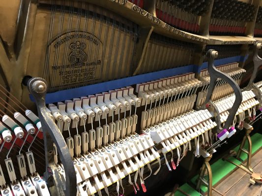 Fandrich & Sons Pianos