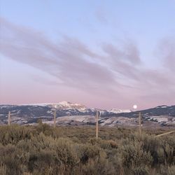 Snake River Taxi - Sleeping Indian.