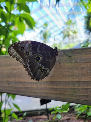 Fairchild Tropical Botanic Garden by null