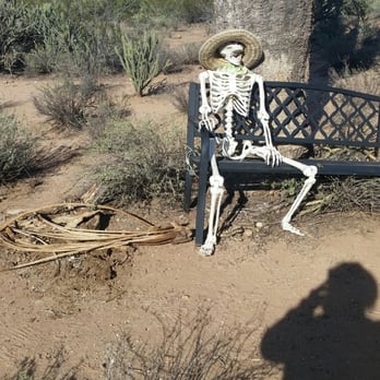 Green Zebra Adventures - Tours Near Me - Scottsdale, Arizona Green Zebra Adventures - Tours Near Me - Scottsdale, Arizona