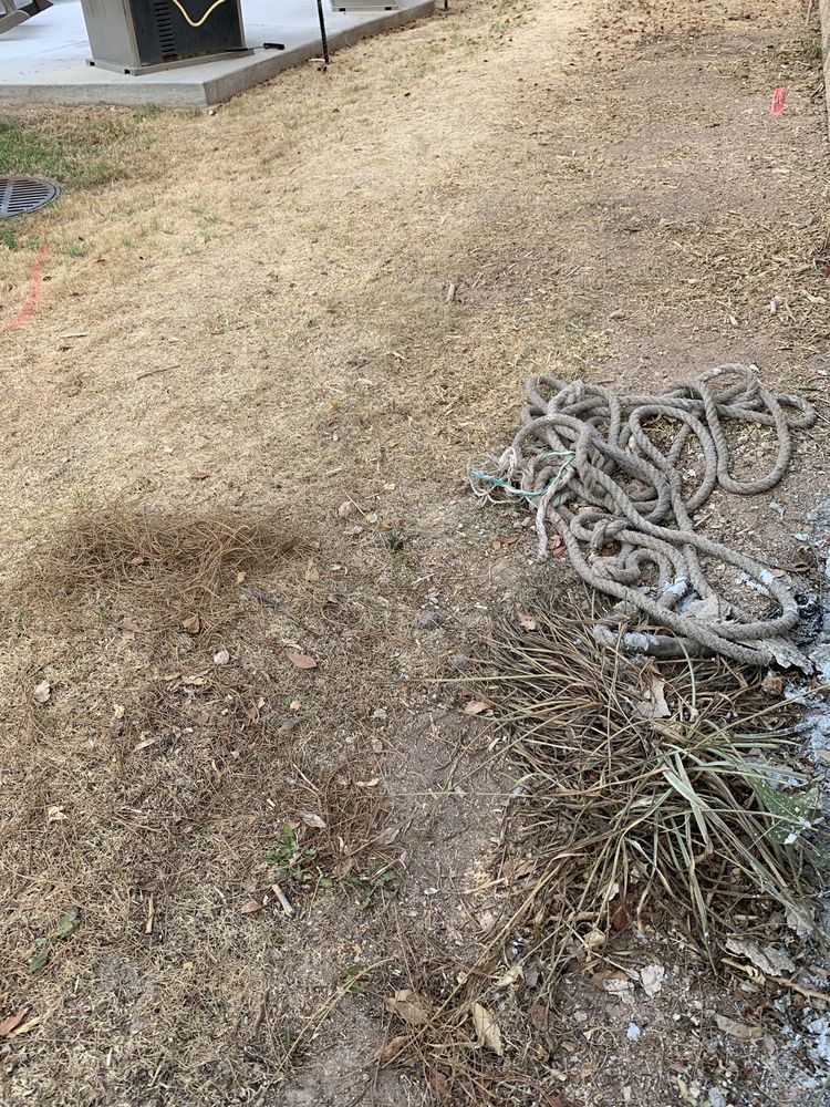 Associated Property Management - property management company in Phoenix, AZ