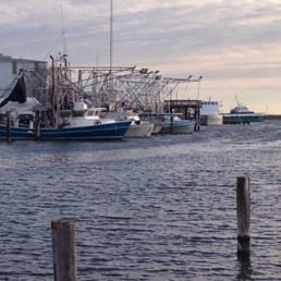 Shrimp boats on Bayou Bienvenue behind the motel Shrimp boats on Bayou Bienvenue behind the motel
